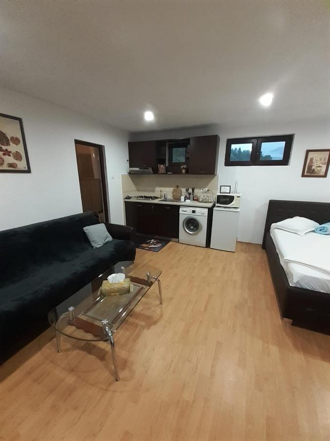Apartamento Apartament Relax Călimăneşti Exterior foto